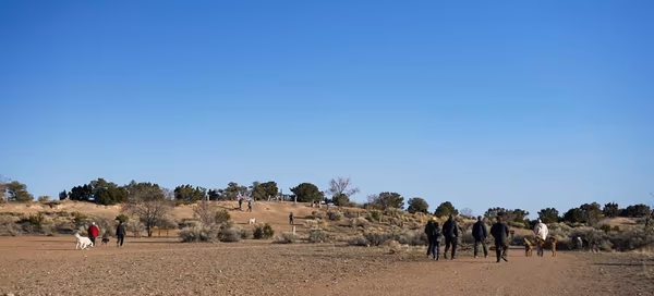 Fort Marcy Dog Park photo 1